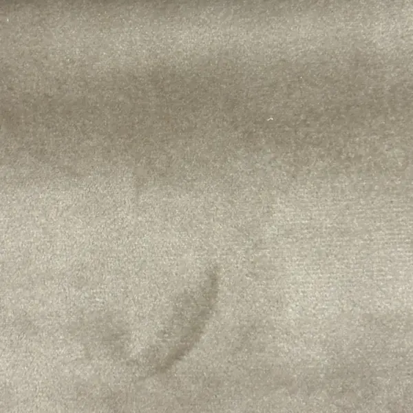 Mink Plush Velvet fabric close-up